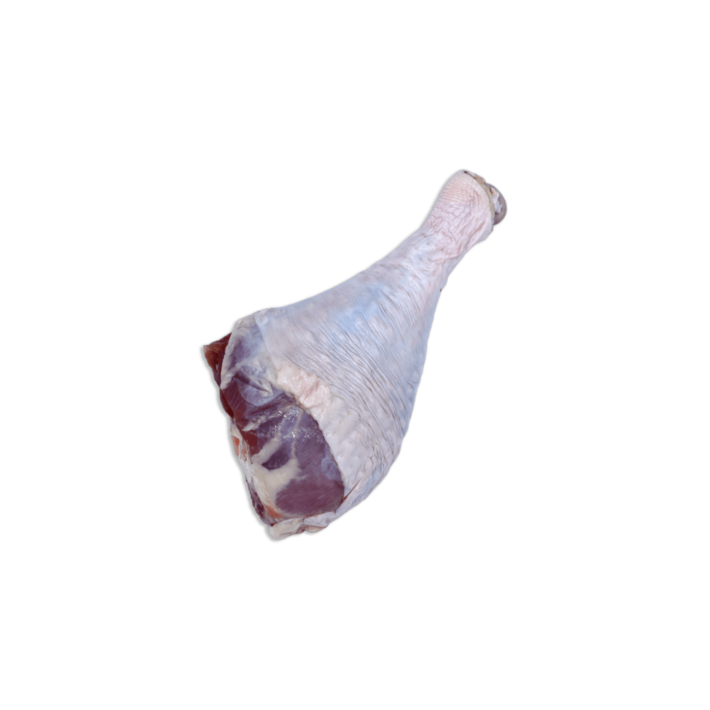 Raw Turkey Drumstick