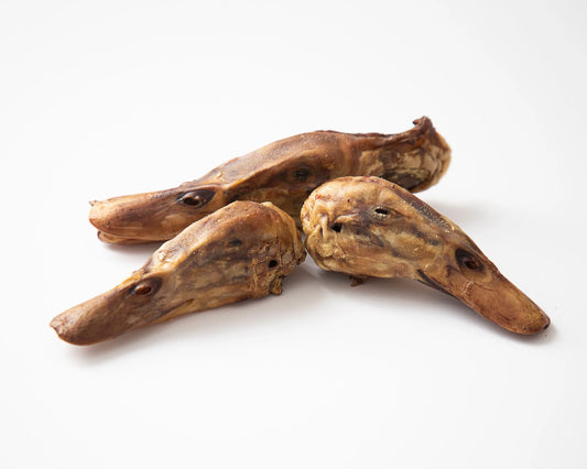 Duck Heads