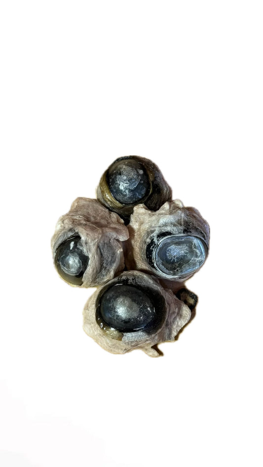 Freeze Dried Beef Eyeballs