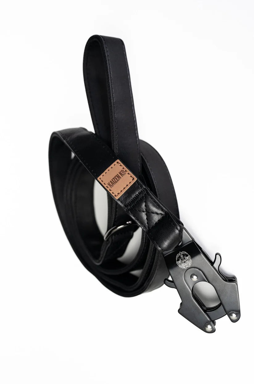 Leather Leashes