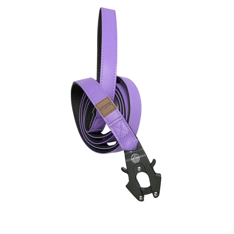 Leather Leashes