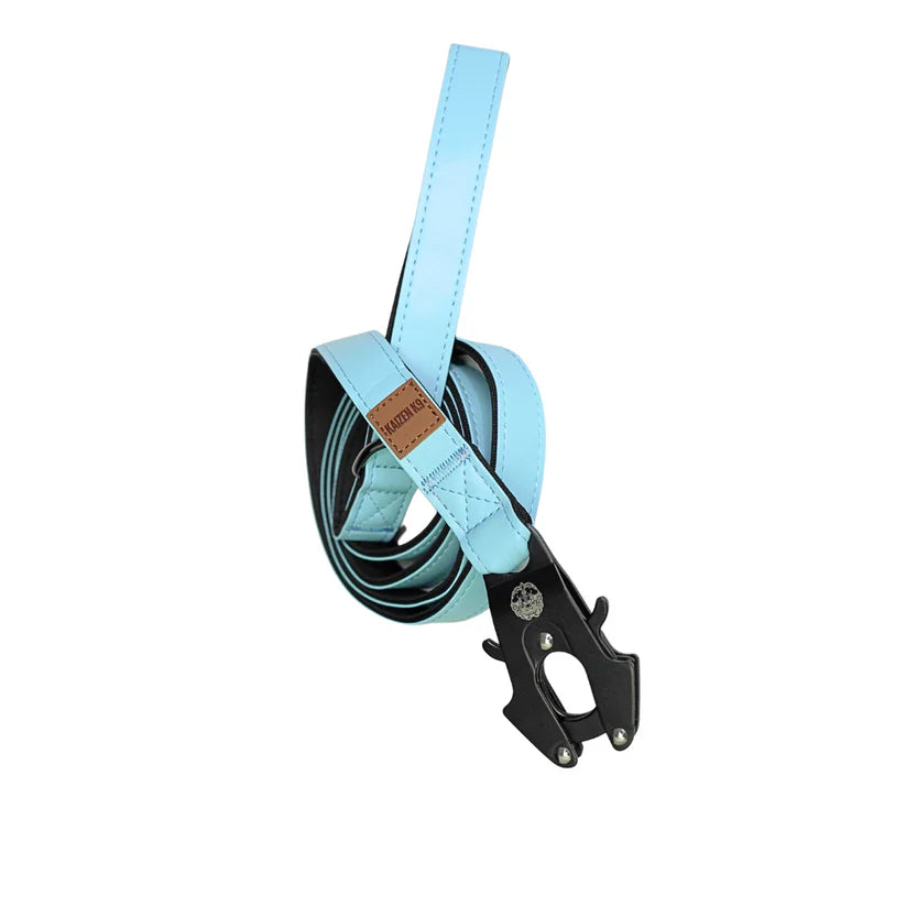 Leather Leashes