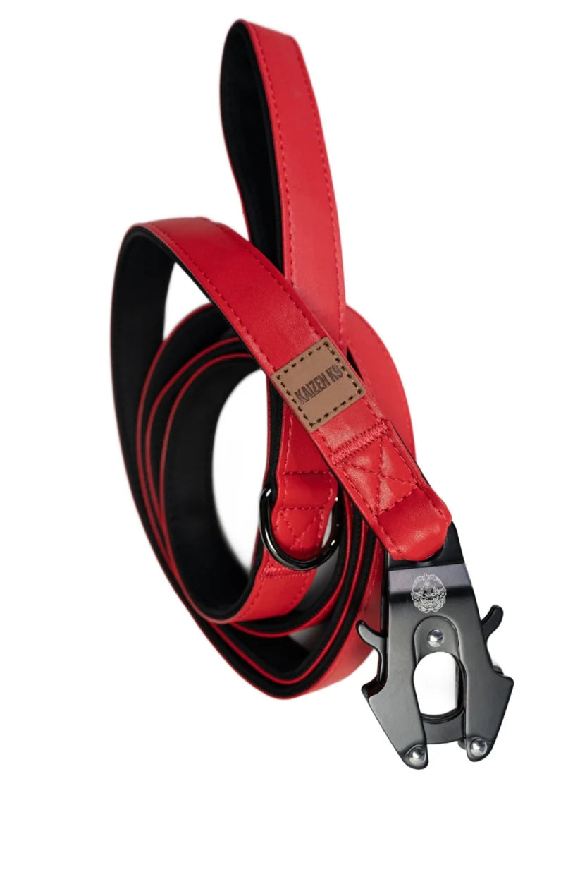 Leather Leashes