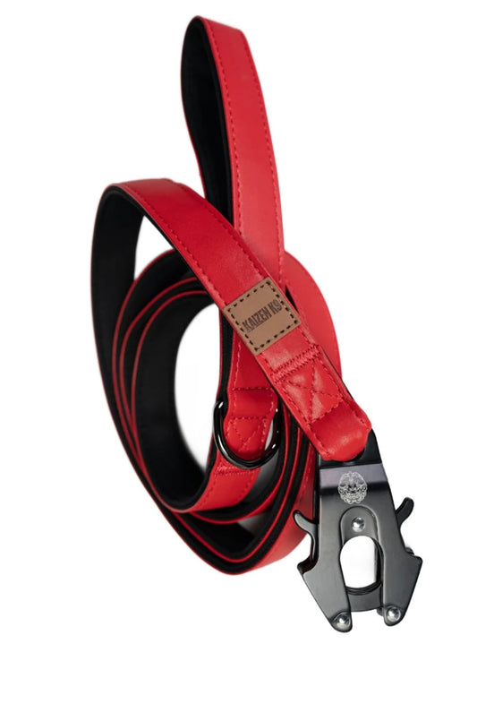 Leather Leashes