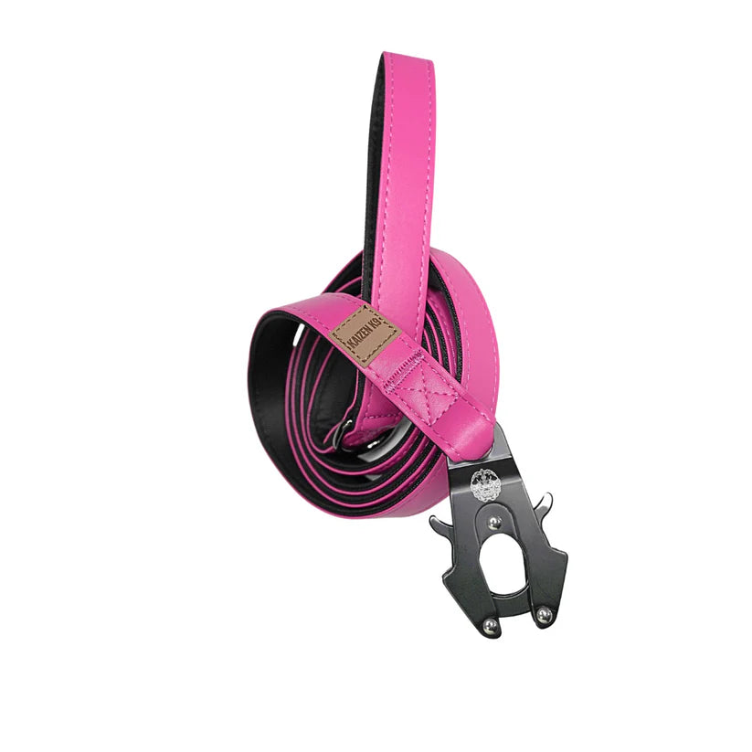 Leather Leashes