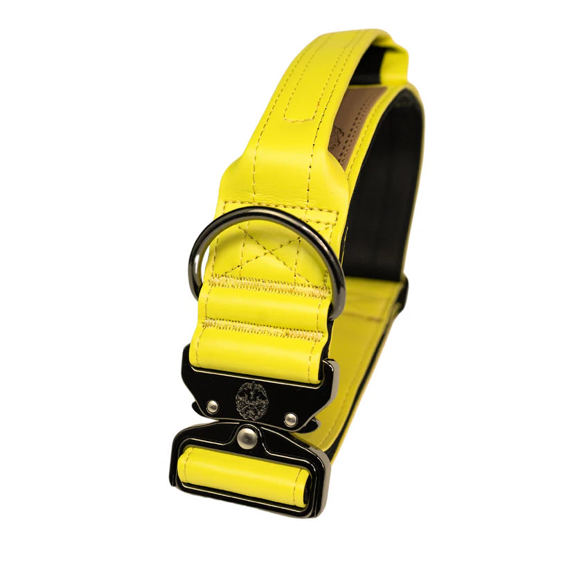 Collars