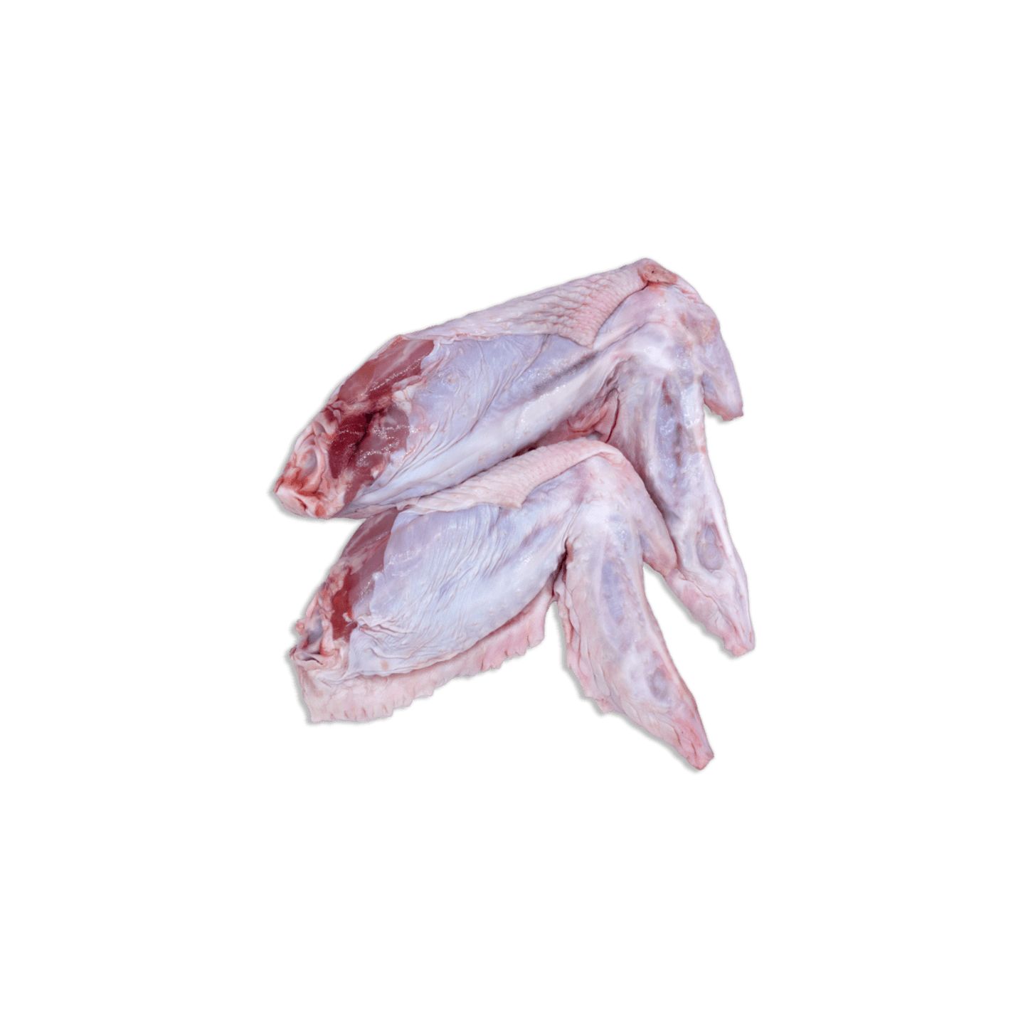 Raw Turkey Wings
