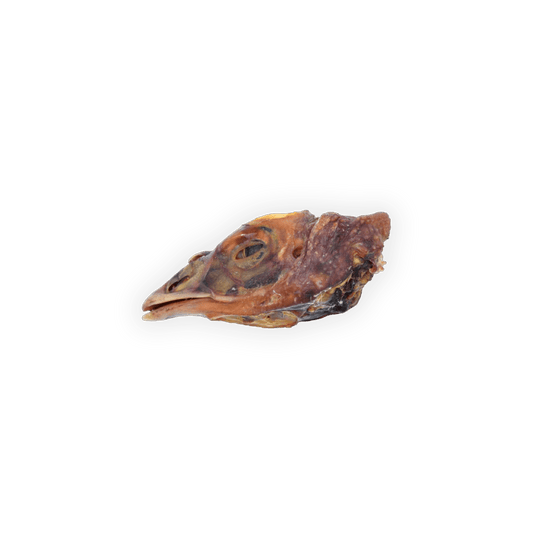 Dehydrated Turkey Head