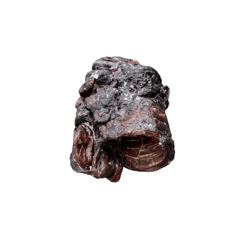Dehydrated Beef Esophagus