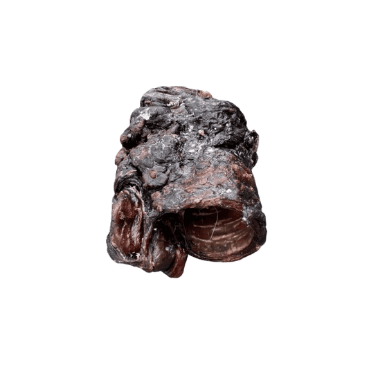 Dehydrated Beef Esophagus