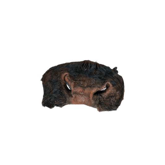 Dehydrated Beef Snout
