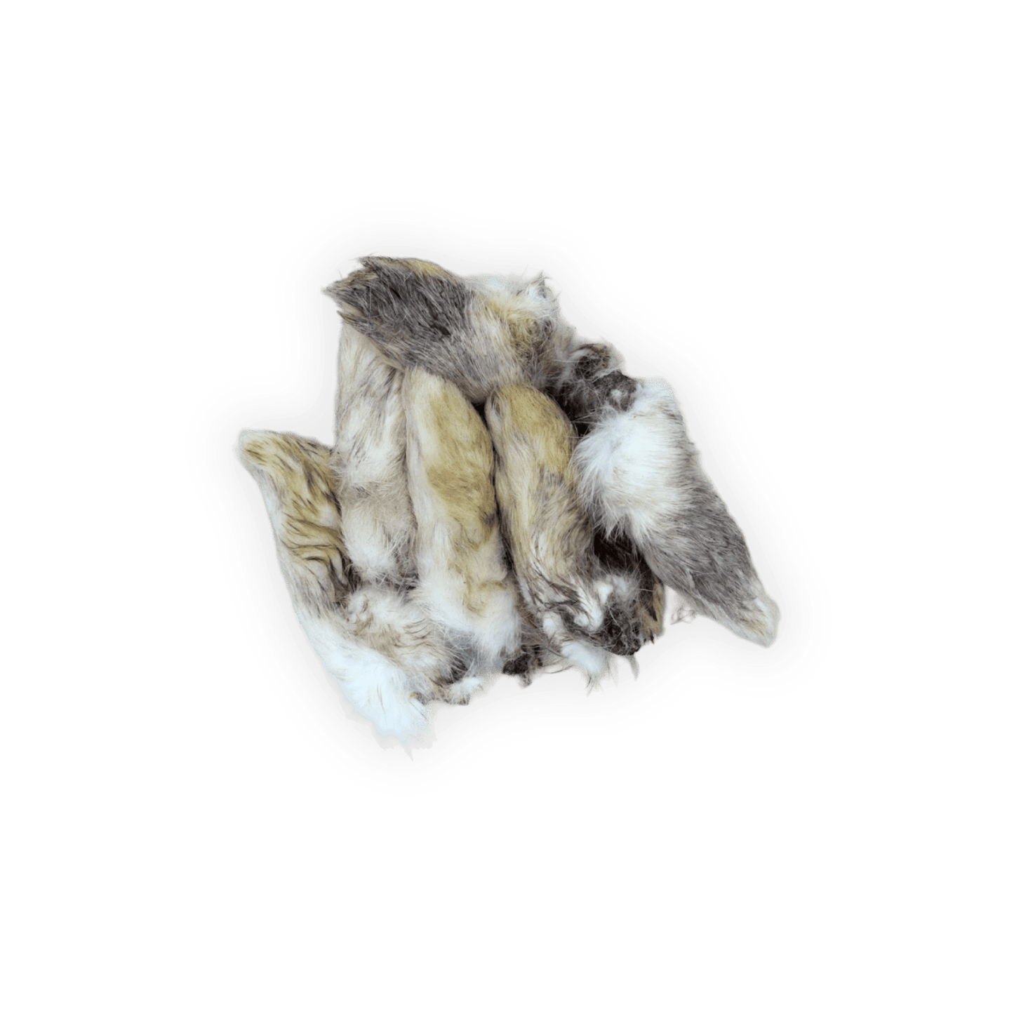 Dehydrated Rabbit Feet