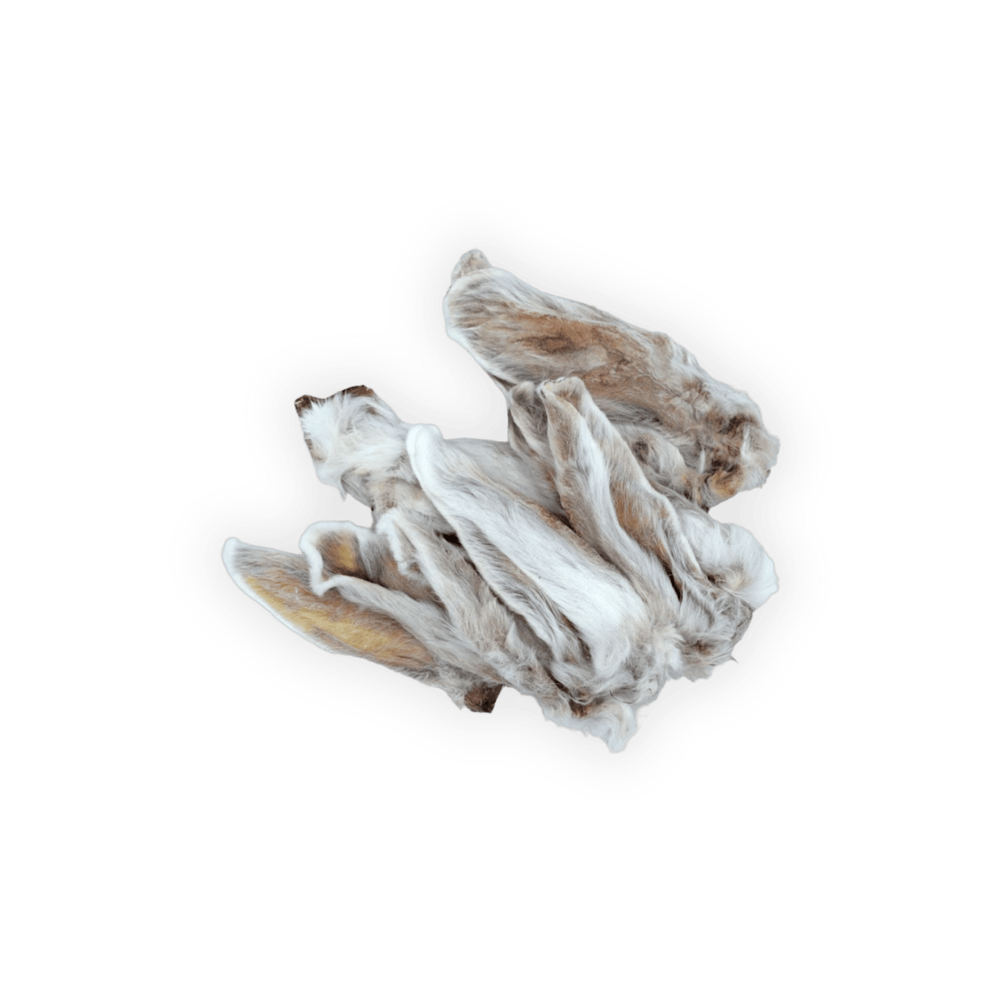 Dehydrated Rabbit Ears